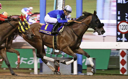 20年スパーキングレディーCを制し連覇を達成したファッショニスタ