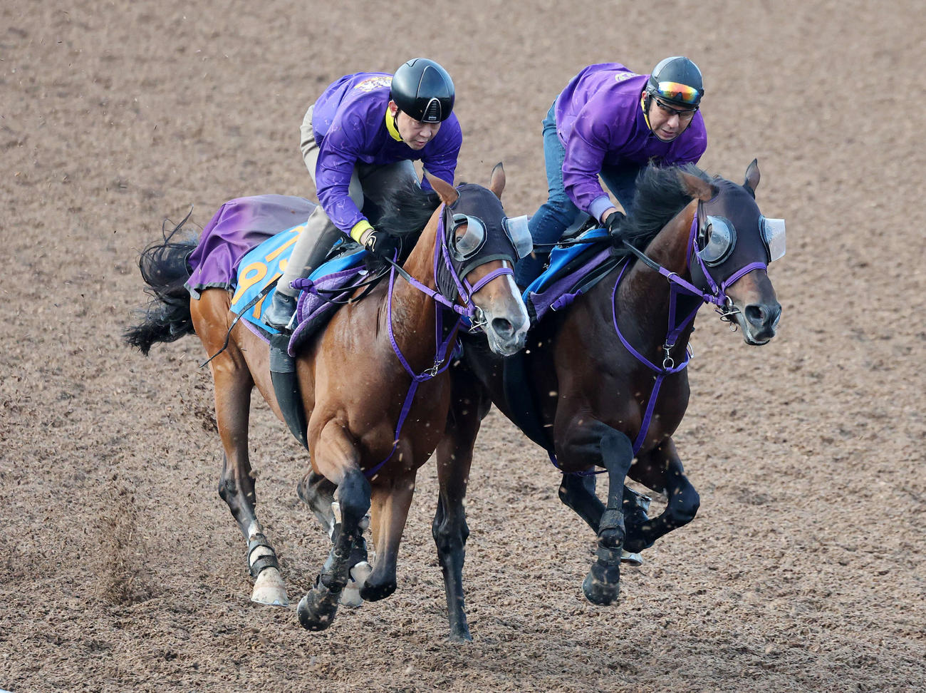 美浦ウッドで併せて追い切るバラジ（左）（2025年5月7日撮影）