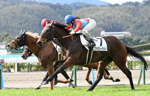 2月2日、小倉7R4歳以上1勝クラスを制したファミリーツリー