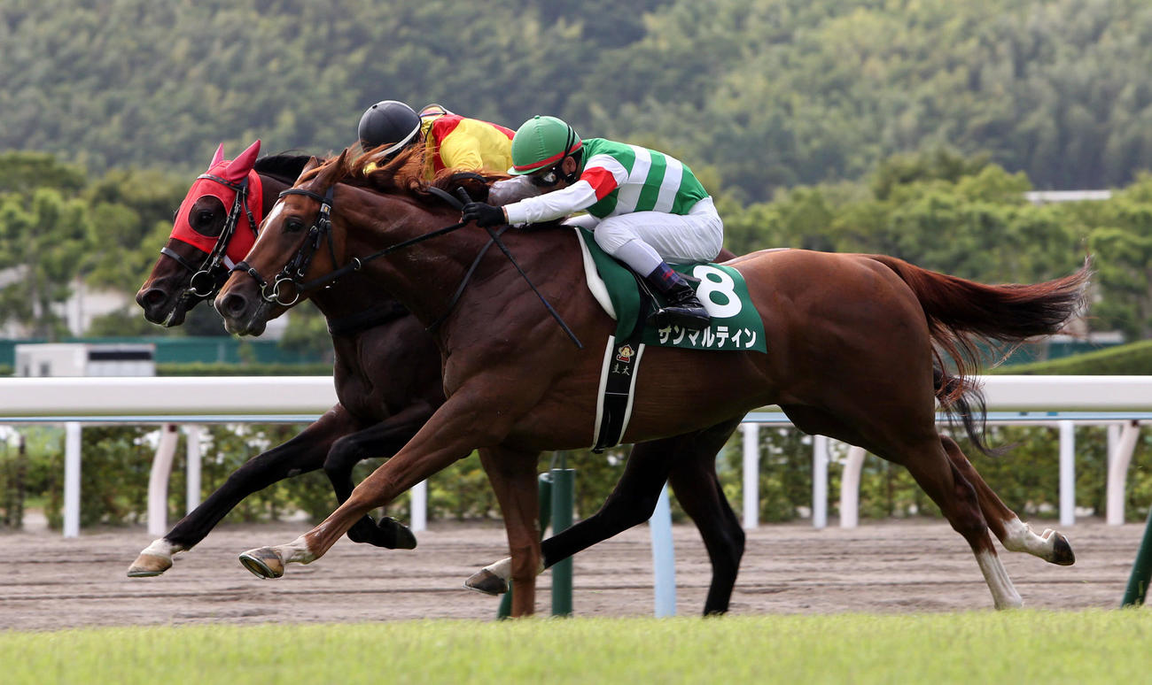 17年、サンマルティン（手前）とのたたき合いを制し小倉記念を勝利するタツゴウゲキ