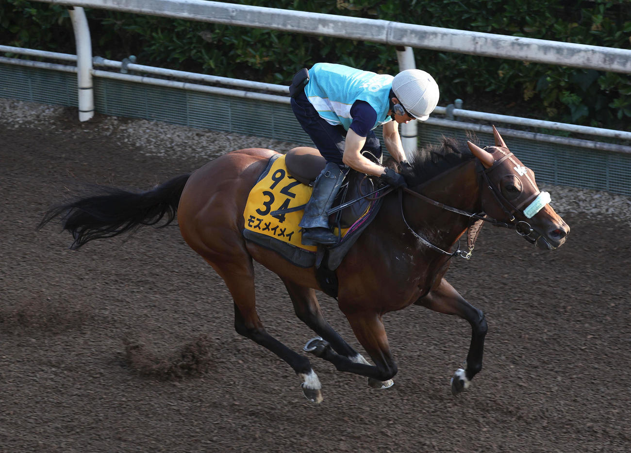 坂路を単走で追い切るモズメイメイ（撮影・白石智彦）