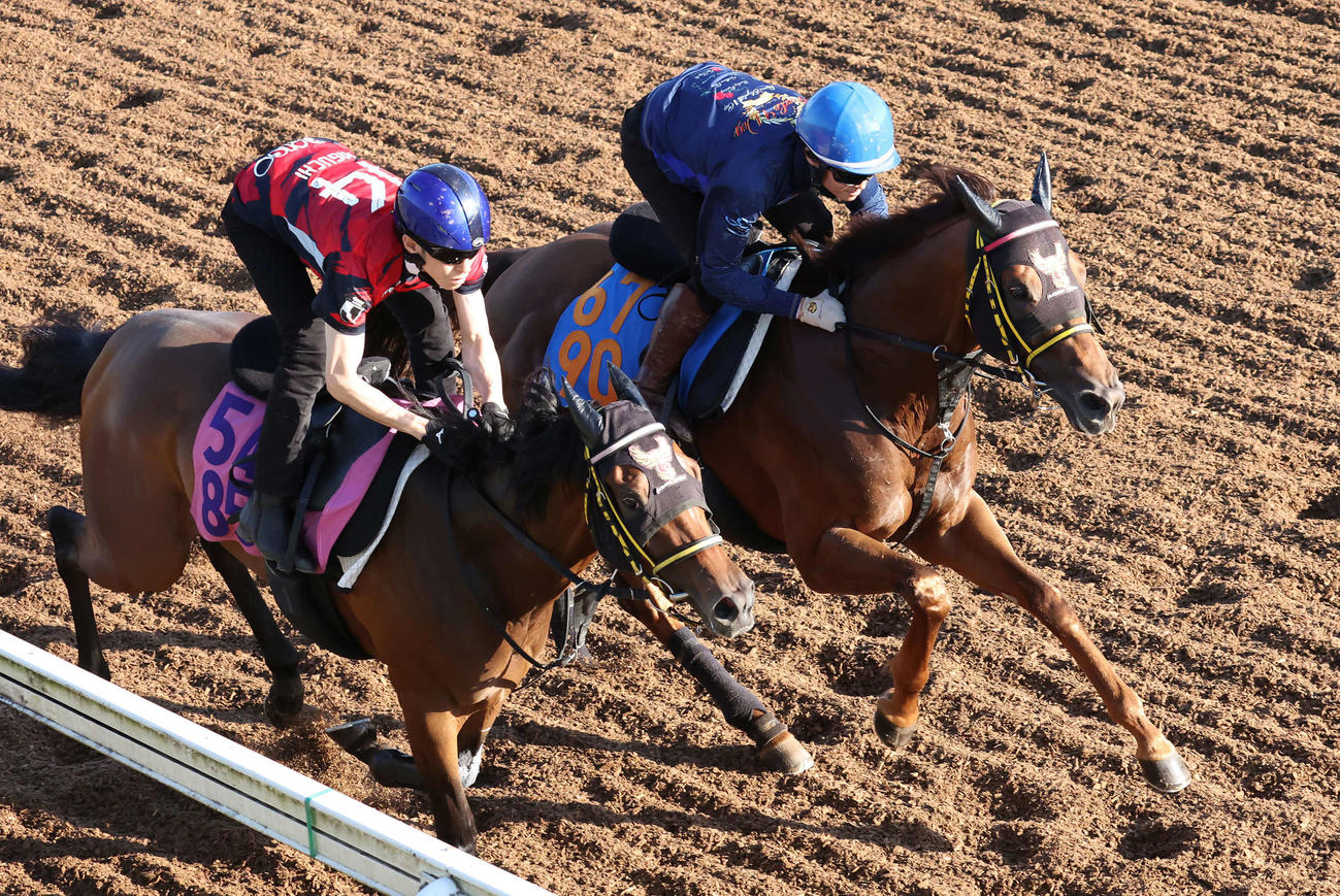 クムシラコ（左）は杉原騎手を背に美浦坂路でファリーザと併せて追い切られた（撮影・丹羽敏通）