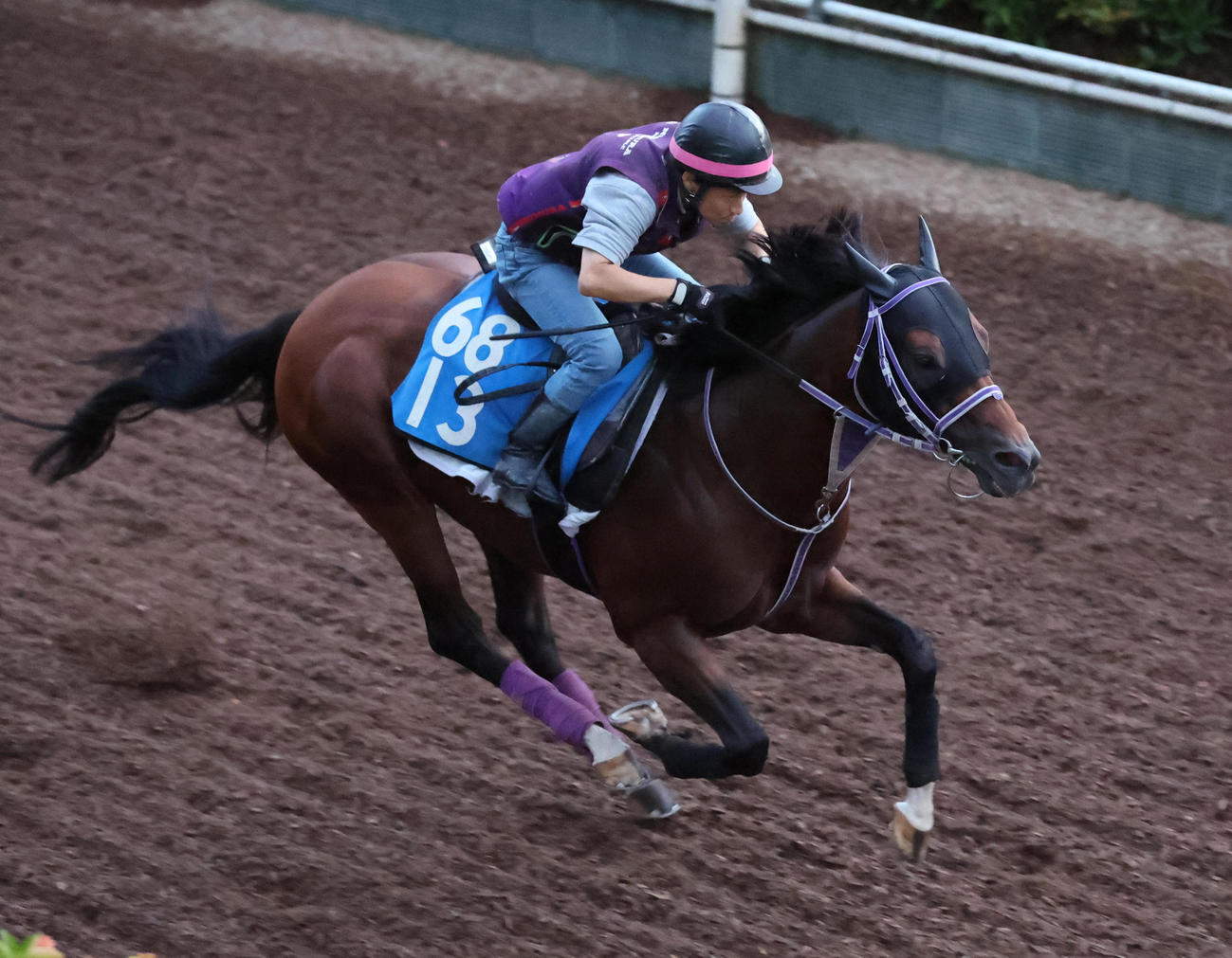 坂路を単走で追い切るカリボール