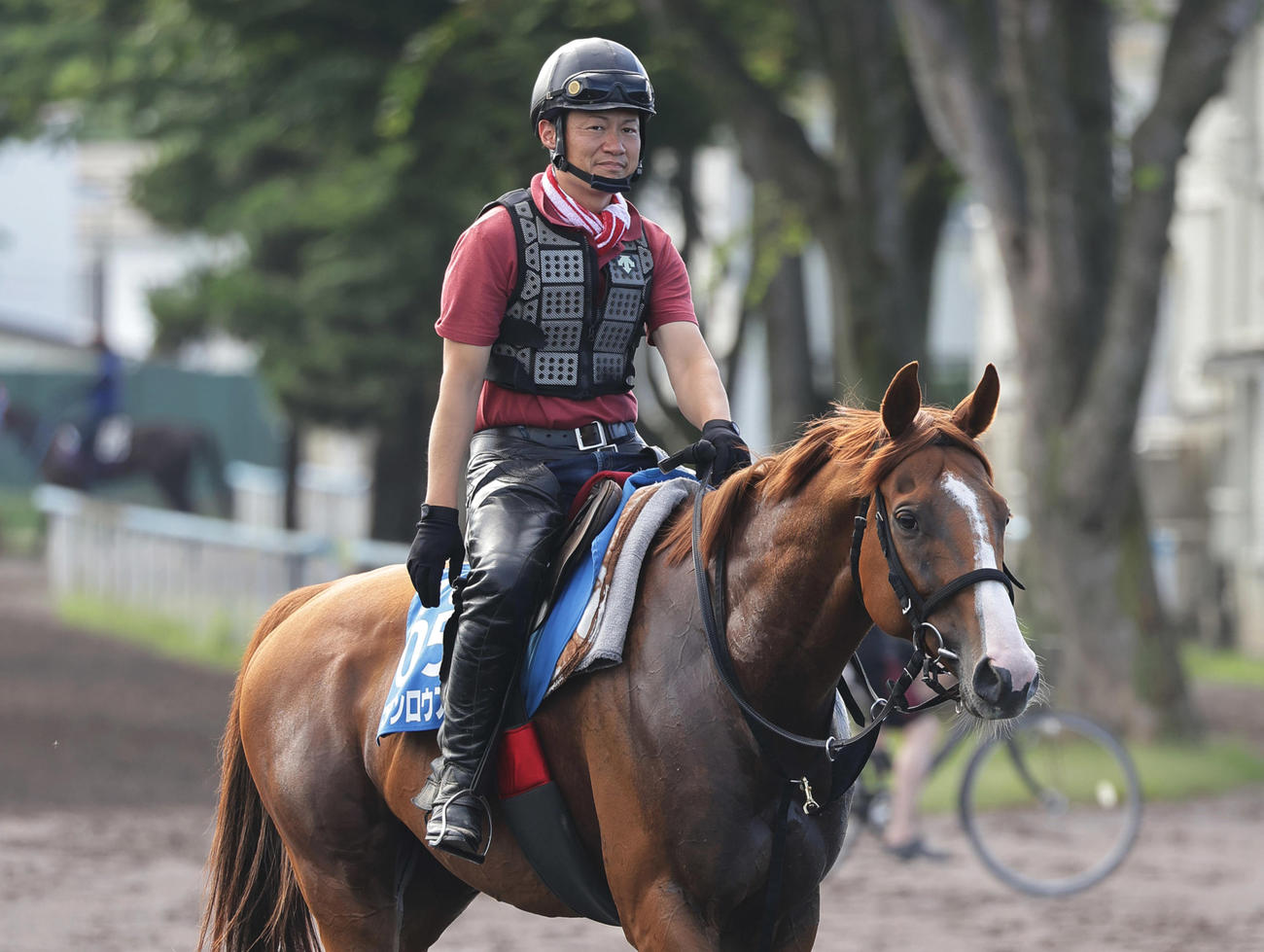 函館競馬場で調整するマテンロウスカイ