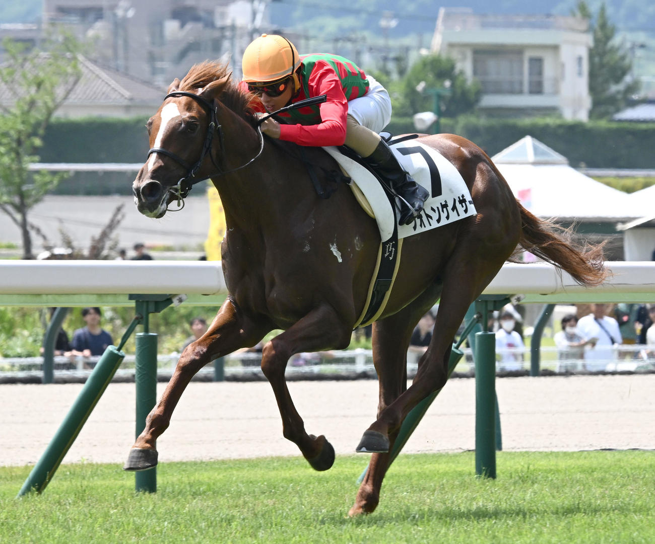 7月13日福島1Rの2歳未勝利戦を制したフォトンゲイザー