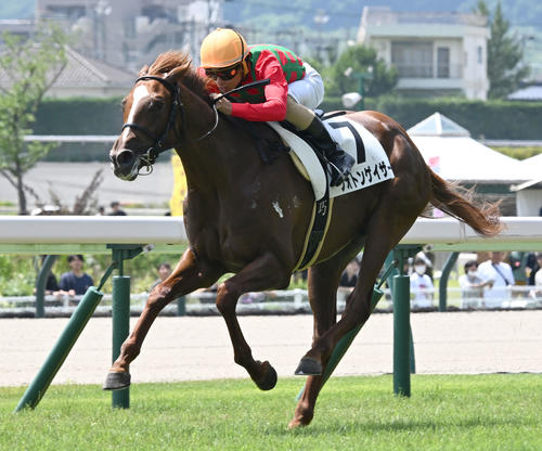 7月13日福島1Rの2歳未勝利戦を制したフォトンゲイザー