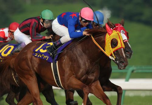 13年クラスターCを制したラブミーチャン