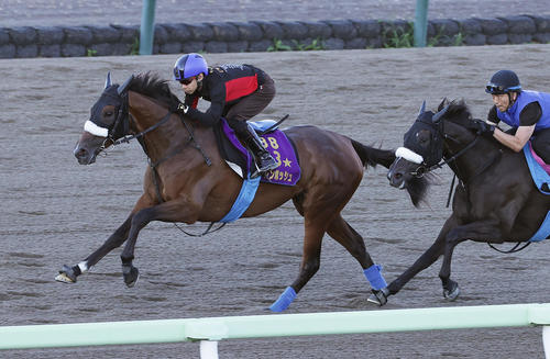 池添謙一騎手を背に、函館ダートコースを併せ馬で追い切られるステレンボッシュ（左）