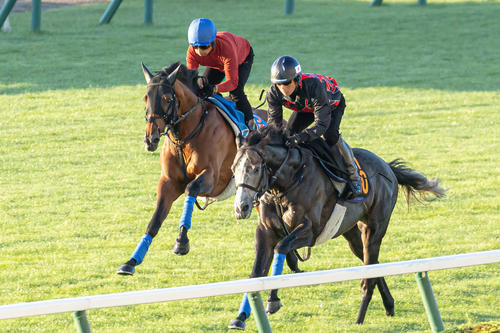 岩田騎手を背に札幌芝コースで追い切られるホウオウビスケッツ(奥)