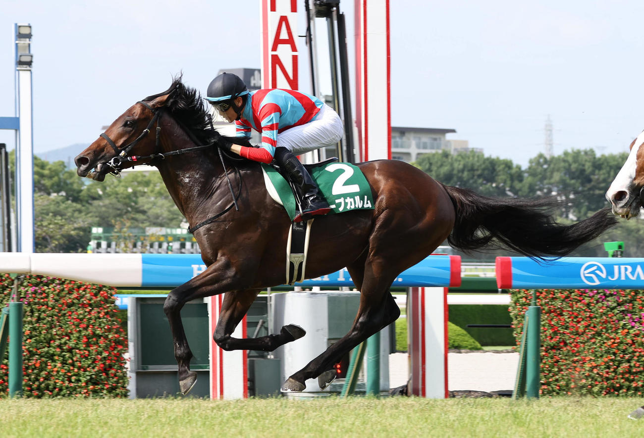 しらさぎSを制したキープカルム