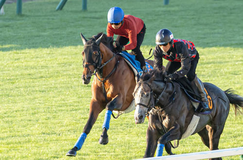 岩田騎手を背に追い切られるホウオウビスケッツ（左）（2025年8月13日撮影）