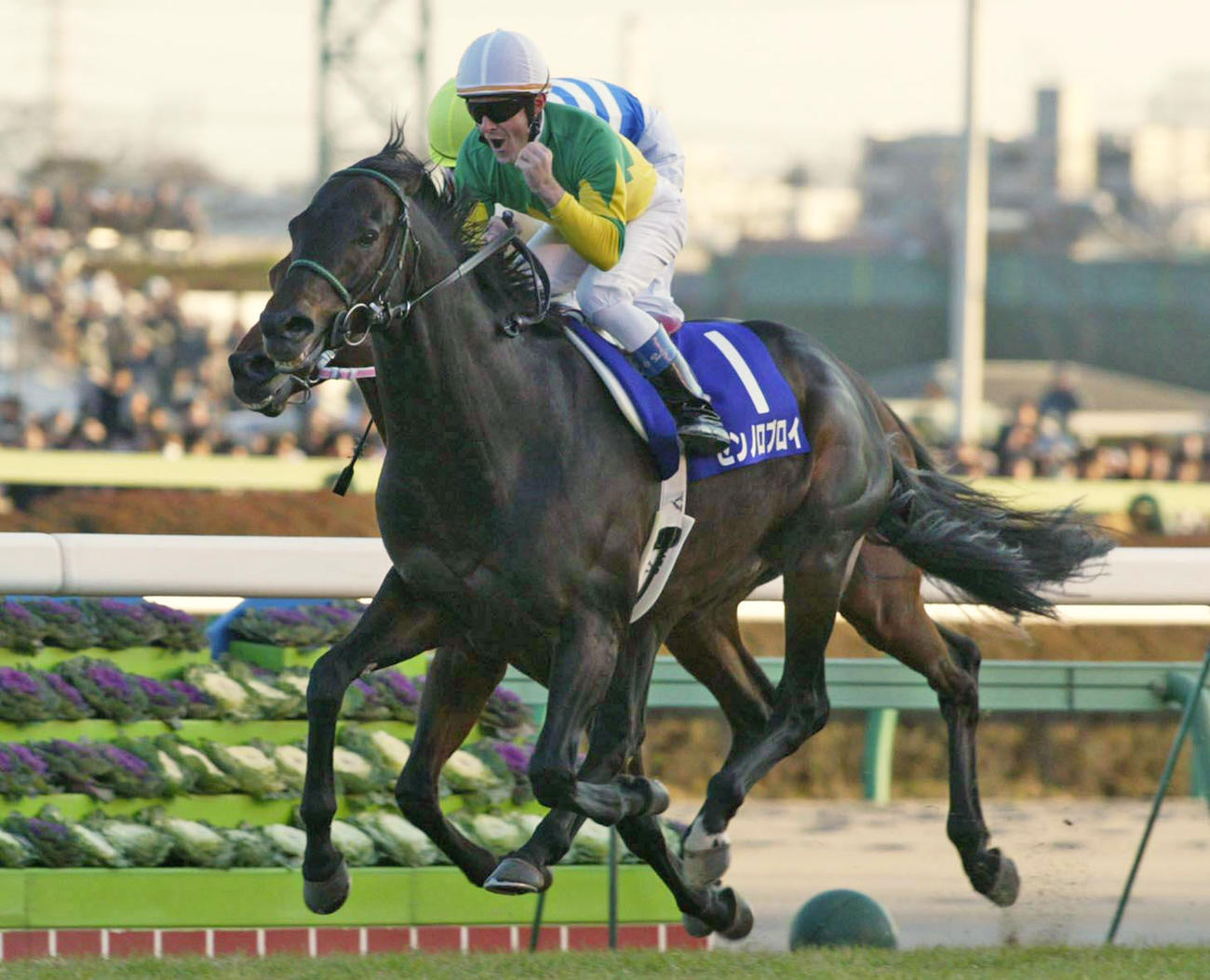 04年有馬記念を制したゼンノロブロイ