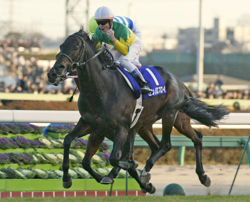 04年有馬記念を制したゼンノロブロイ