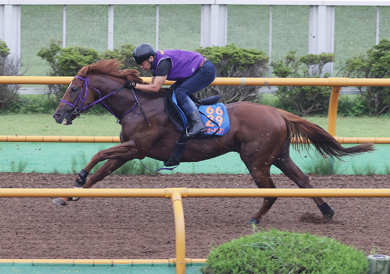 函館ウッドコースで追い切られるウインカーネリアン