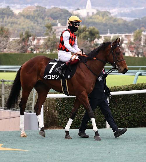 イコサン(2022年12月4日撮影)