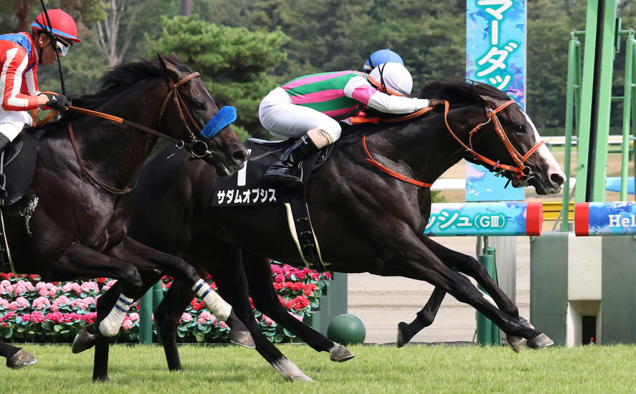 月岡温泉特別を制したサダムオプシス