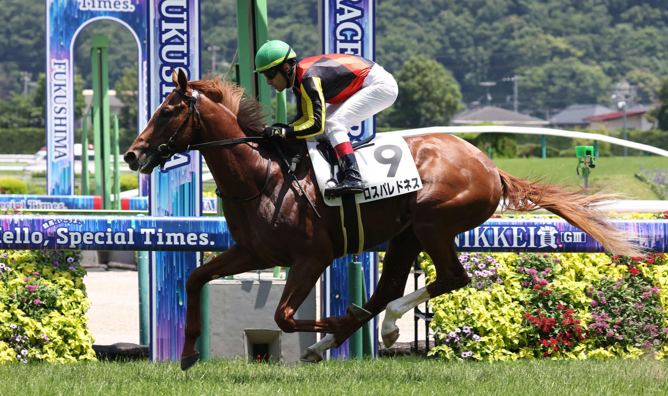 6月29日福島5R2歳新馬戦を制したロスパレドネス
