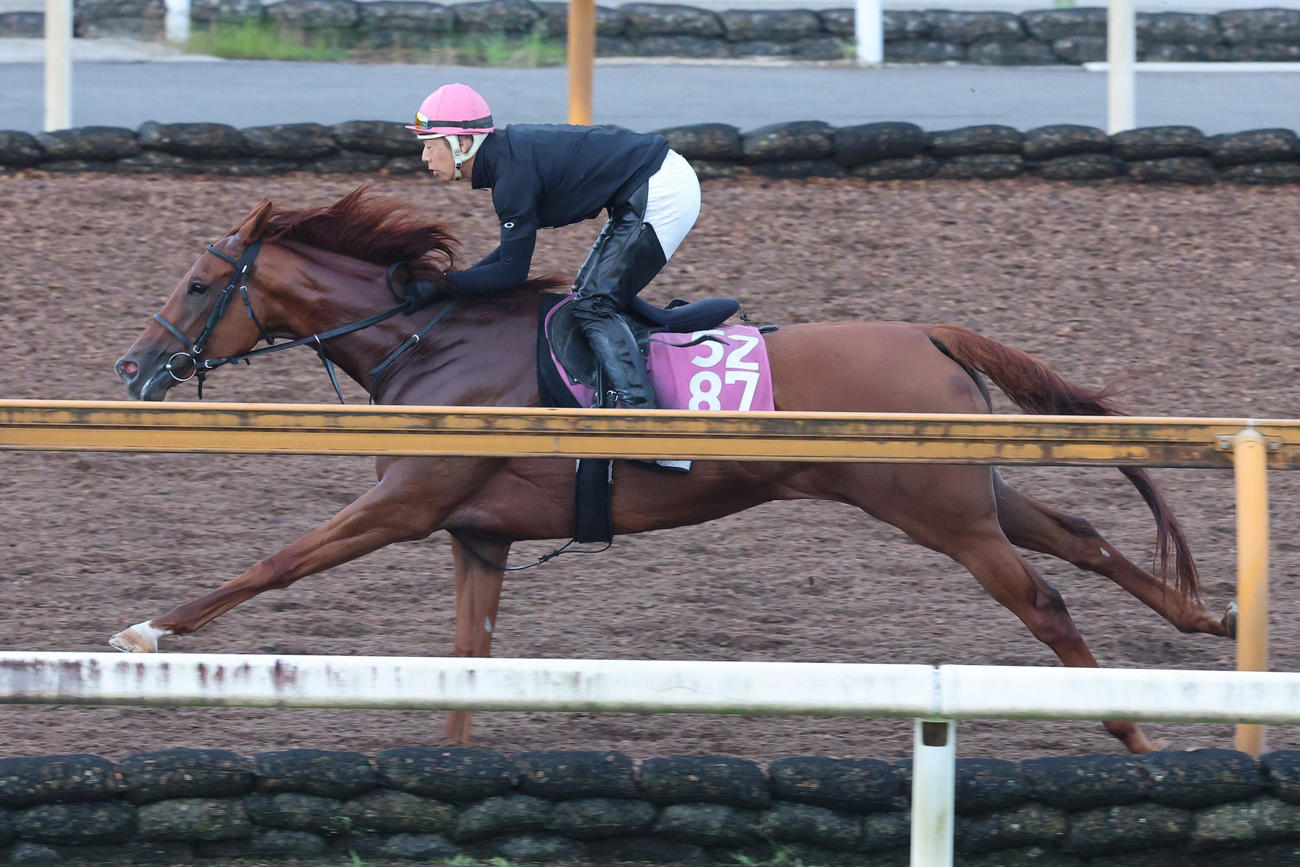 馬ナリ単走で調整されたタガノアビー