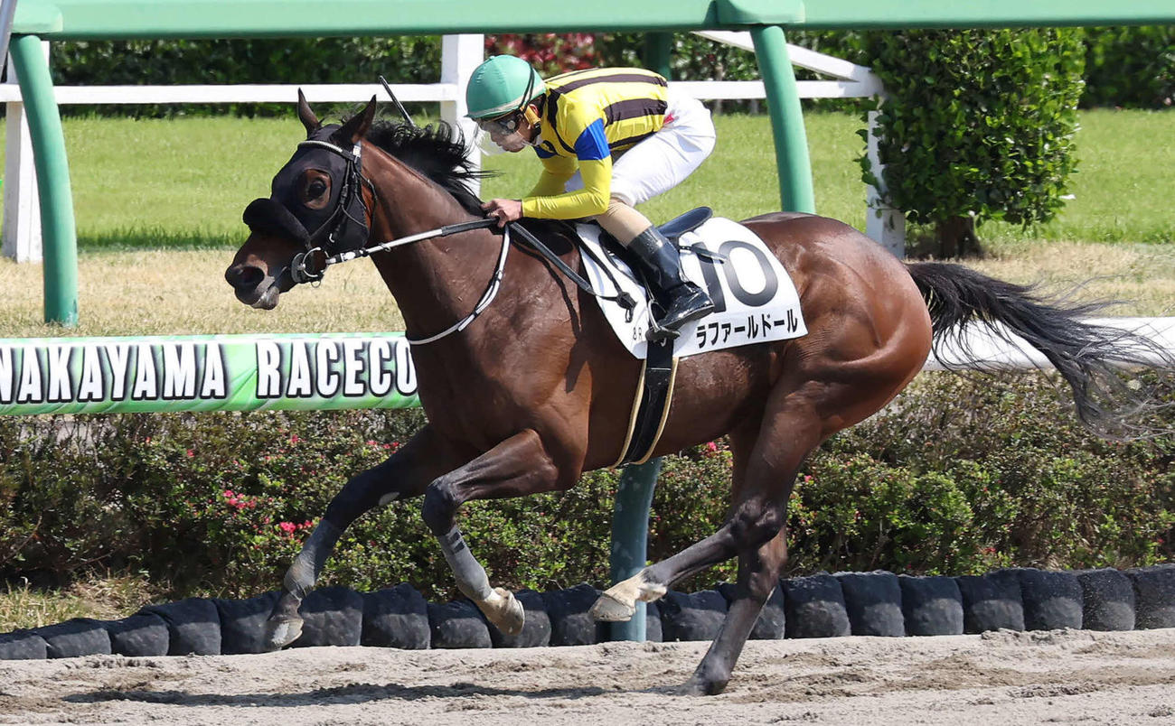 4月12日中山8R4歳上1勝クラスを制したラファールドール