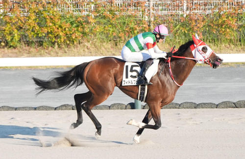 8月3日中京10R3歳以上1勝クラスを制したフィドルファドル