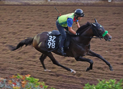 坂路で追い切るジョバンニ