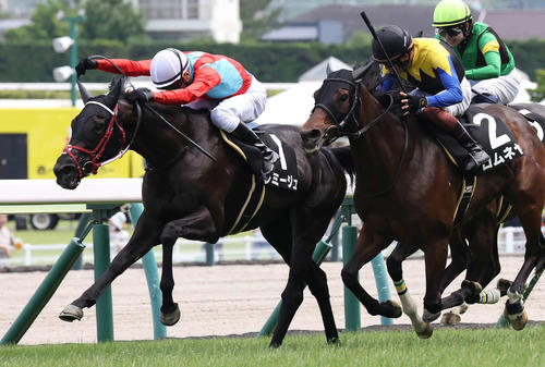 6月28日松島特別を制したレミージュ
