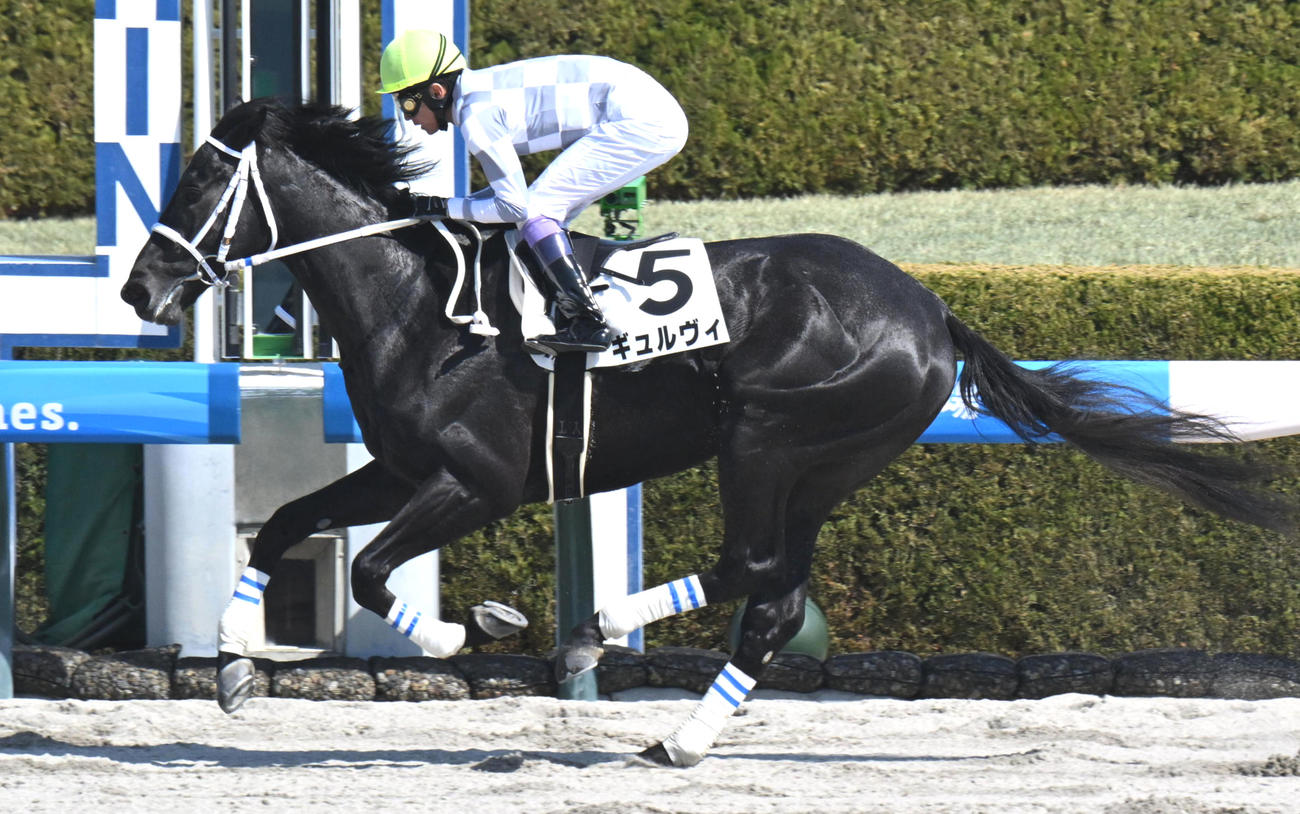 3月22日2R3歳未勝利を制したギュルヴィ