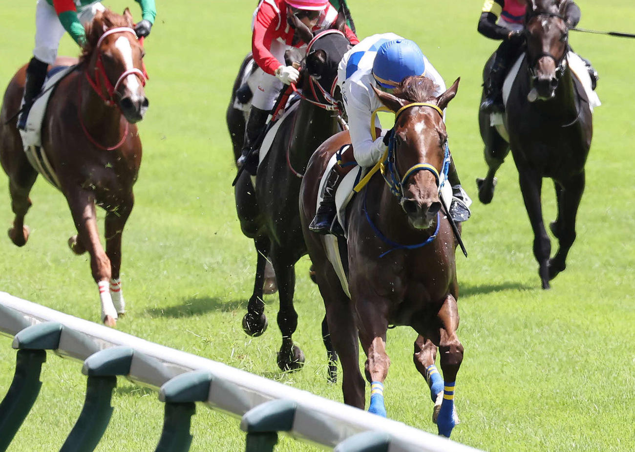 8月2日新潟3R2歳未勝利戦を制したプリティーミズホ