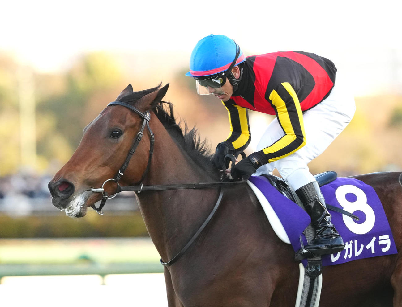 24年有馬記念を制したレガレイラ