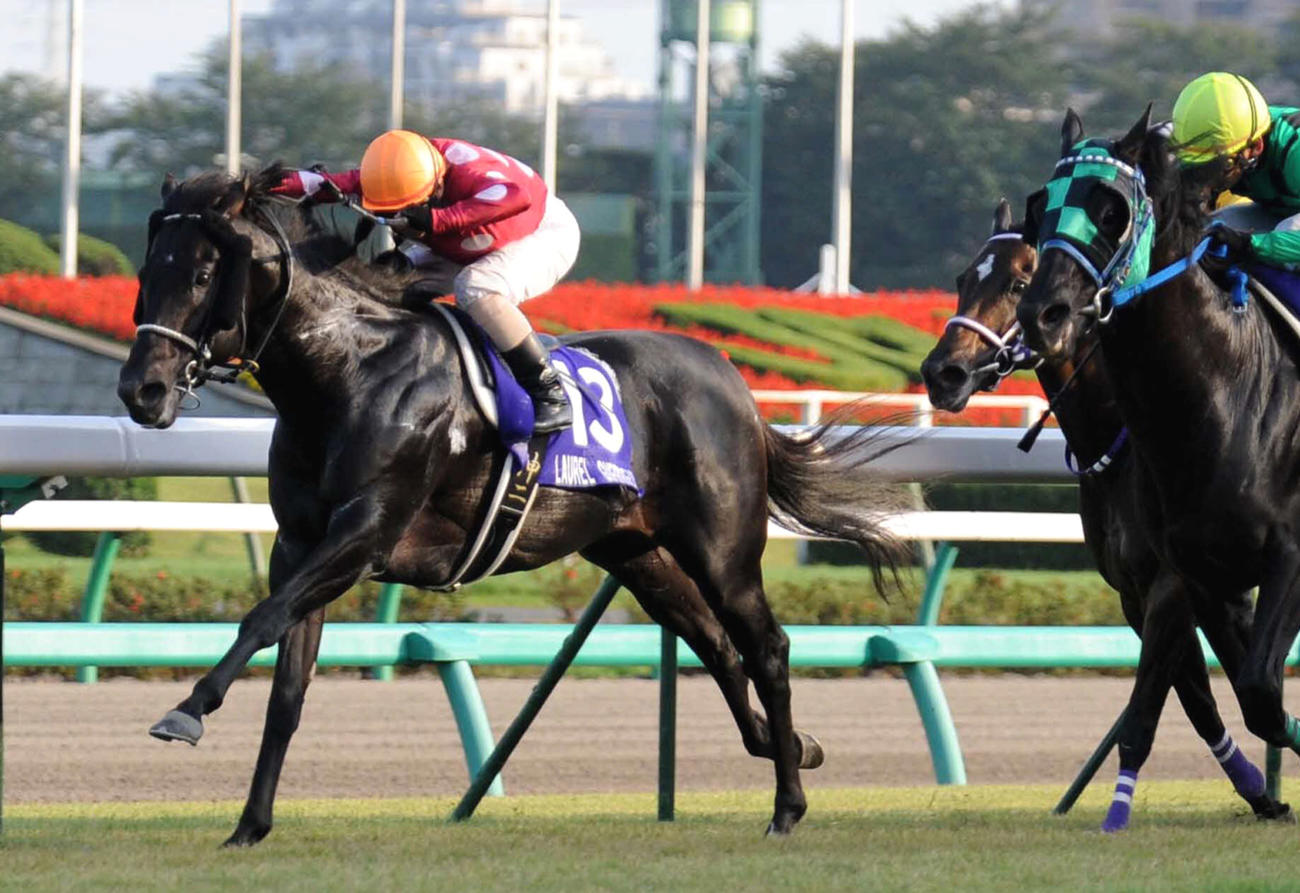 09年スプリンターズSを制したローレルゲレイロ