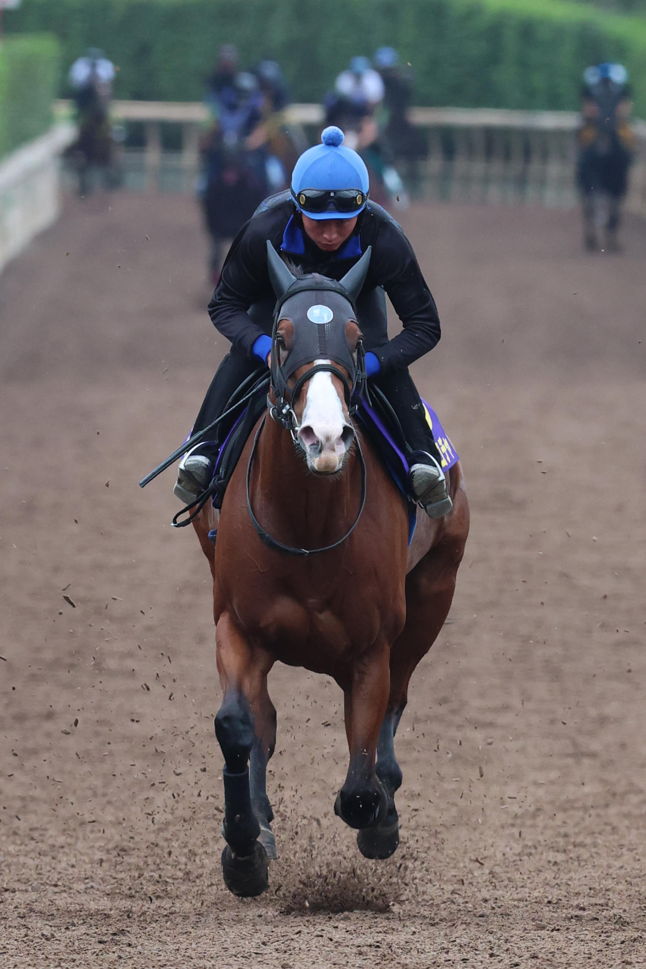 岩田望騎手が騎乗し、坂路で絶好の動きを見せたママコチャ