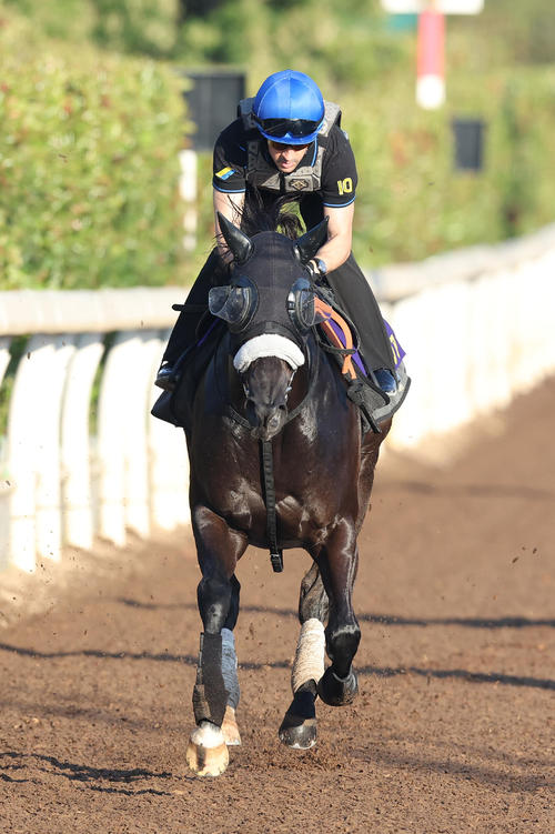 18日、ルメール騎手を背に坂路を併せ馬で追い切るナムラクレア