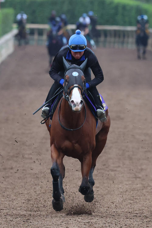 岩田望騎手が騎乗し、坂路で絶好の動きを見せたママコチャ