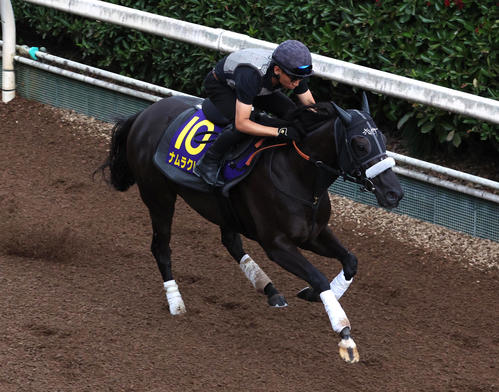 24日、坂路を単走で追いきるナムラクレア
