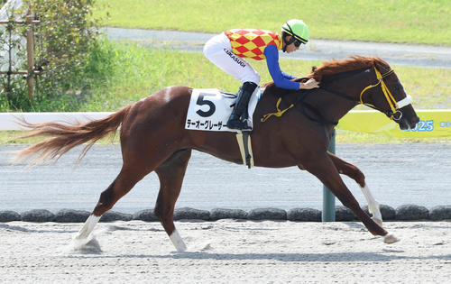 8月16日中京1R2歳未勝利を勝ち上がったテーオーグレーザー