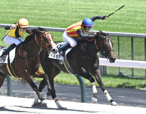 6月21日東京6R2歳新馬戦を制したペルセア(右)