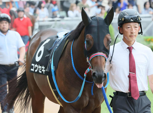 9月13日汐留特別2着のコウセキ