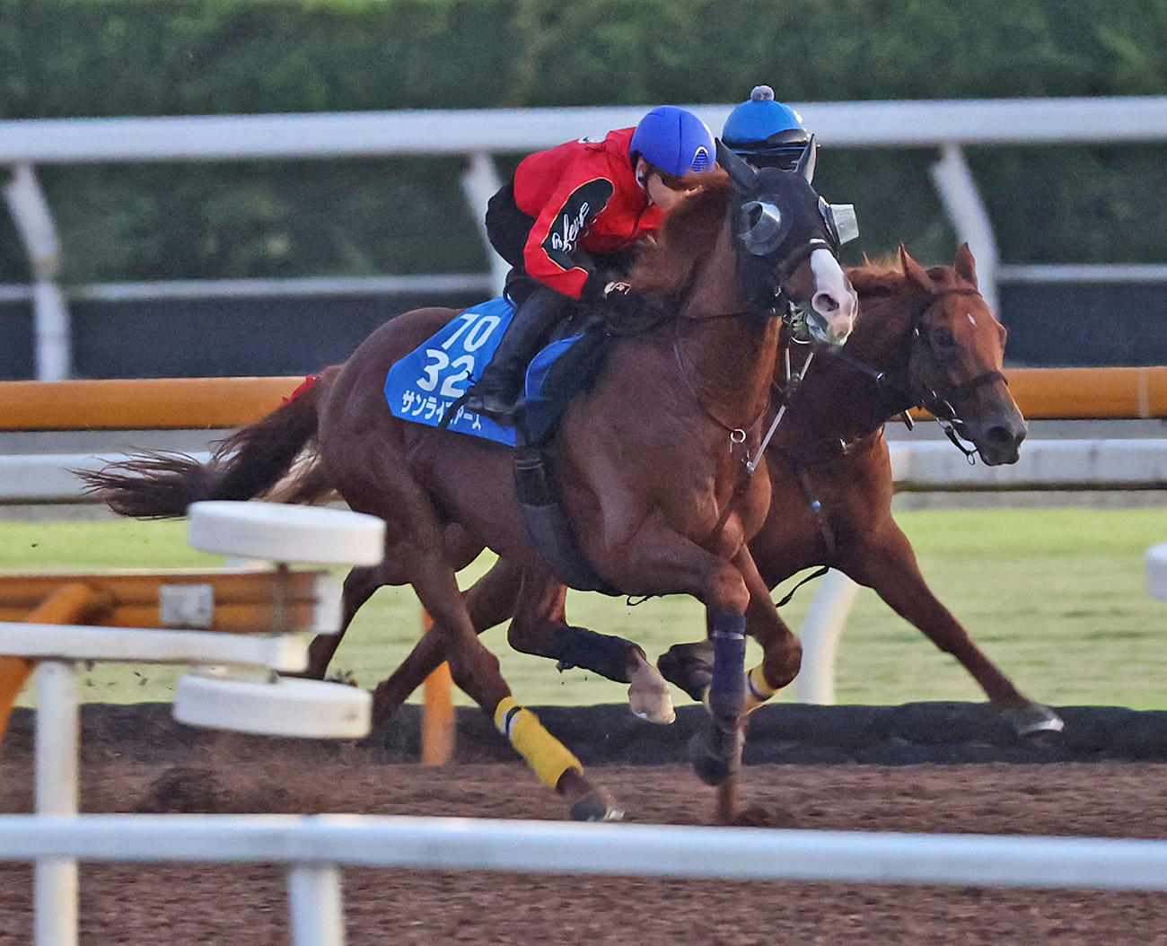 CWコースにて併せ馬で追い切るサンライズアース
