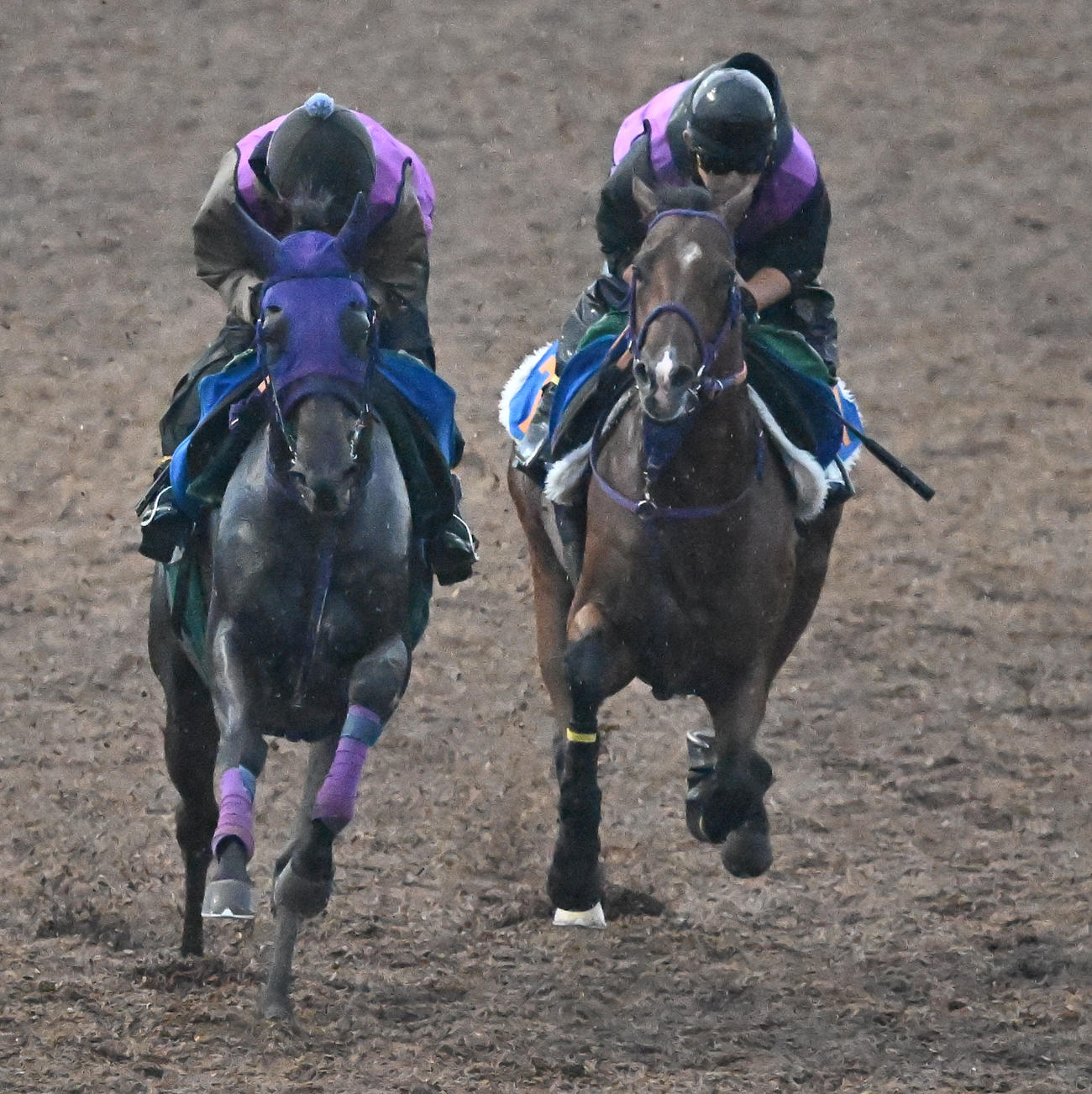 美浦ウッドを2頭併せて追い切るディマイザキッド（右）（撮影・千葉一成）