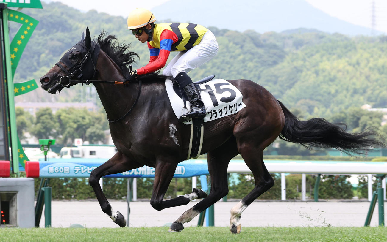 7月5日小倉3R3歳未勝利を勝ち上がったブラックケリー