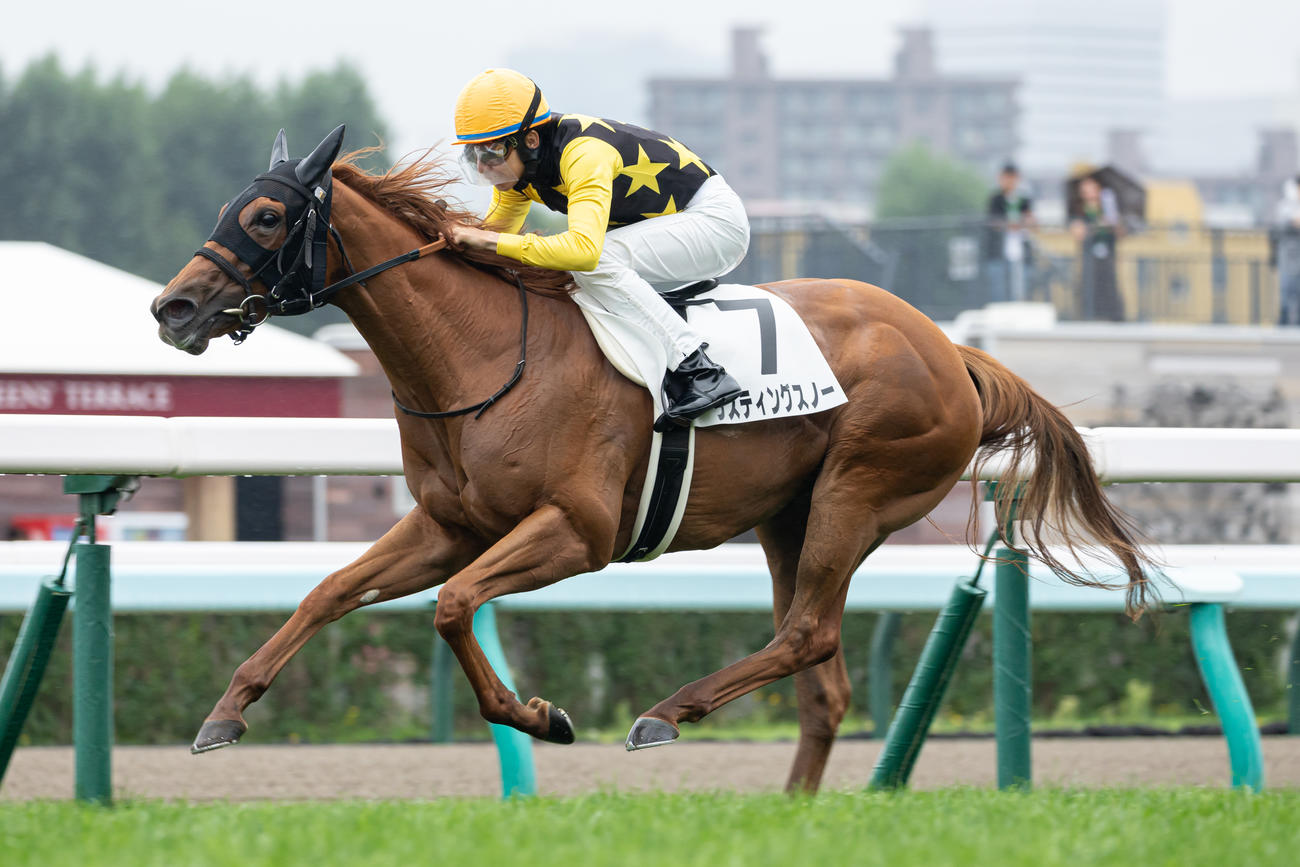 8月30日札幌1R2歳未勝利を勝ち上がったラスティングスノー