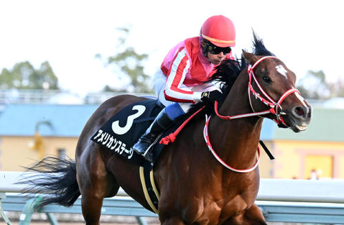 9R、中京2歳ステークスを制したアメリカンステージ(撮影・前岡正明)