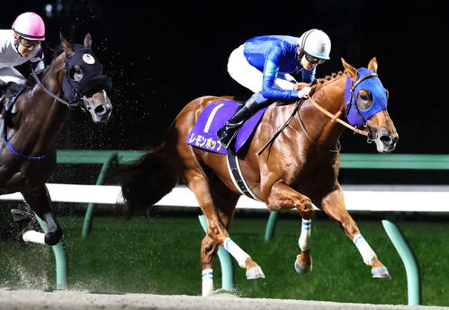 24年南部杯を制し連覇を達成したレモンポップと坂井騎手