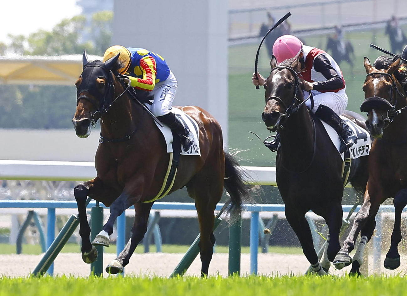 4月26日京都6R3歳未勝利戦を制したサイモンベローチェ