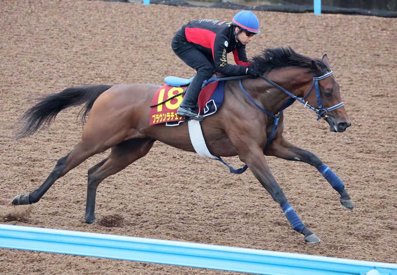 15日、ブラウンラチェットは池添騎手を背に美浦ウッドを単走で追い切られた