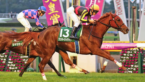 17年アルテミスSを制したラッキーライラック
