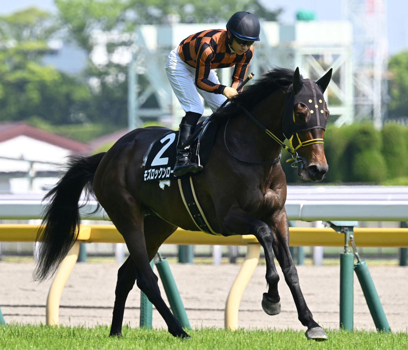 モズロックンロール