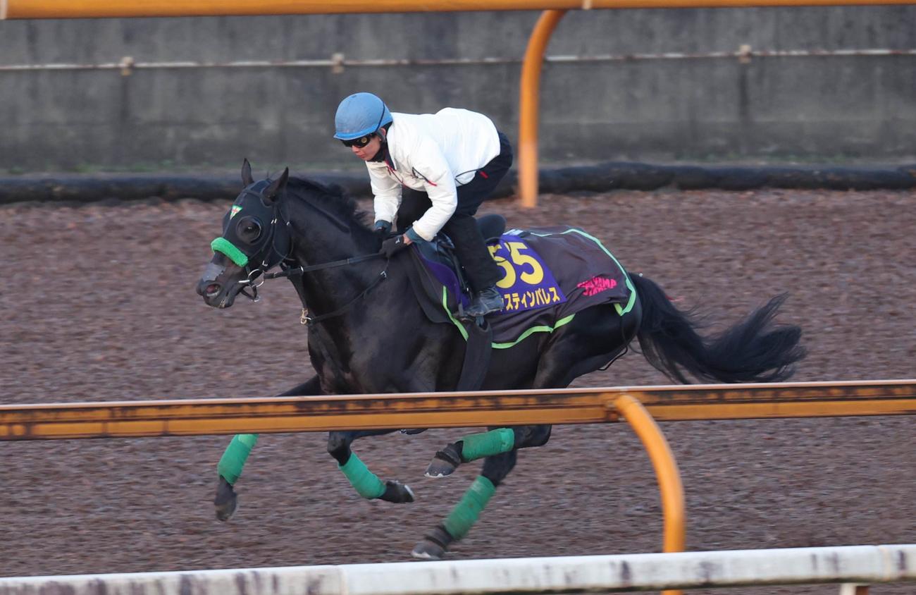 Cウッドコースで追い切るジャスティンパレス
