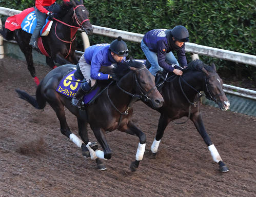 坂路をワンダーディーン（右）と併せ馬で追い切るミュージアムマイル（撮影・白石智彦）