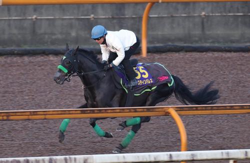 Cウッドコースで追い切るジャスティンパレス